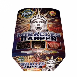 MIRACLE MIRACLES HAPPEN- CASE 1/1